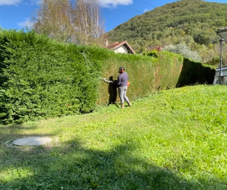 taille complte d un paysagiste grenoble